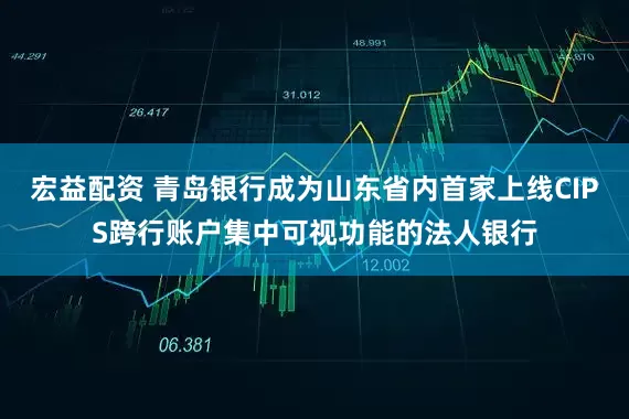 宏益配资 青岛银行成为山东省内首家上线CIPS跨行账户集中可视功能的法人银行